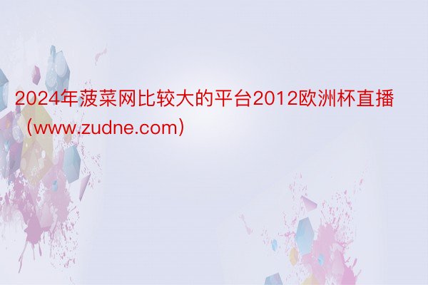 2024年菠菜网比较大的平台2012欧洲杯直播（www.zudne.com）